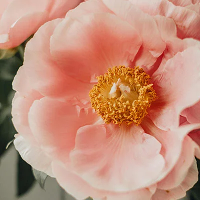 全面掌握Surfboard脚本：从入门到精通的完整指南