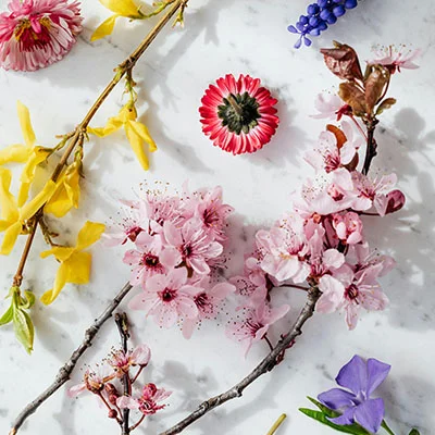 V2Ray性能深度剖析：从硬件需求到优化实践的全面指南