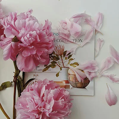 解锁网络自由：梅林固件搭配v2ray的终极配置指南