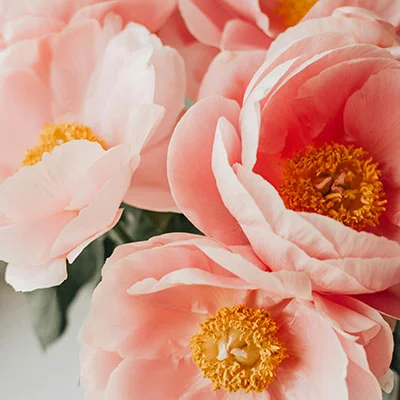 科学上网：畅享全球网络的简单指南与实用技巧