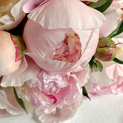 梅林固件科学上网全解析：免费与付费的权衡之道