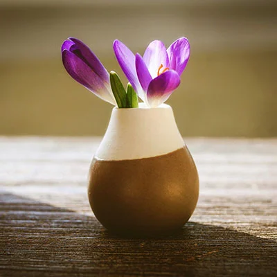 1月24日|22.7M/S，Shadowrocket节点/Clash节点/V2ray节点/SSR节点|免费订阅机场|每天更新免费梯子