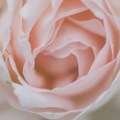 解锁全球信息：Amazon Alexa科学上网全攻略与深度体验