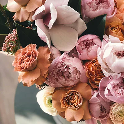 1月28日|22.6M/S，SSR节点/Clash节点/Shadowrocket节点/V2ray节点|免费订阅机场|每天更新免费梯子