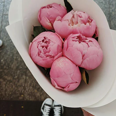 掌握安卓网络自由：手把手教你用Clash配置局域网代理